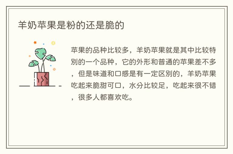 羊奶苹果是粉的还是脆的